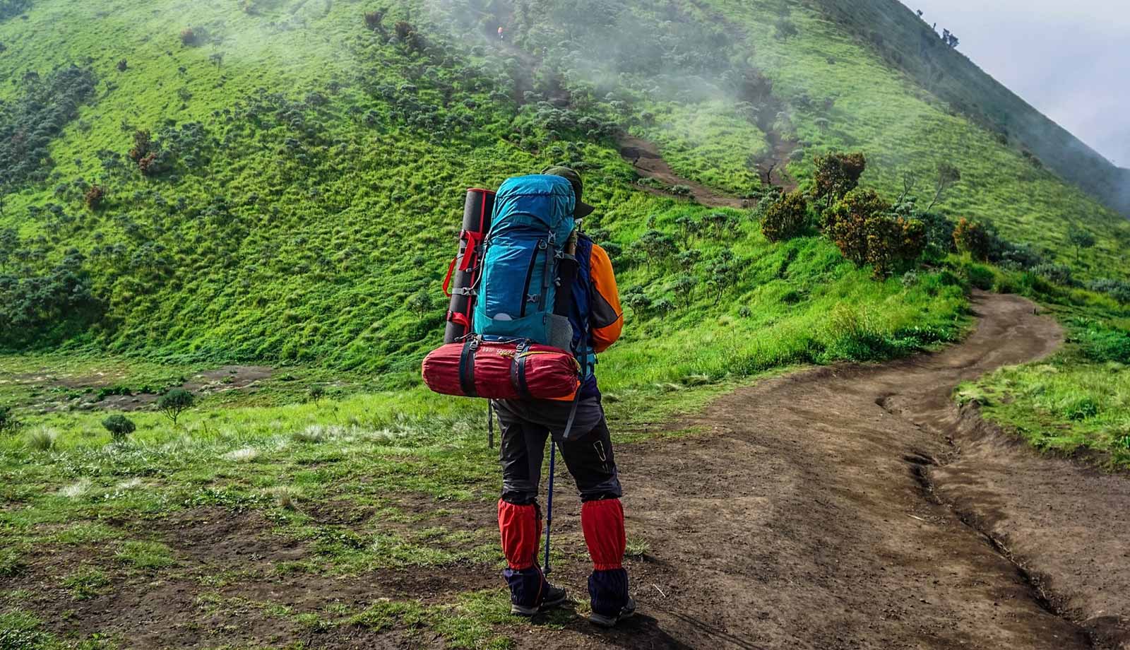 Top 5 Benefits of Roll Top Backpacks